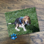 Custom Dog Photo Puzzle at Zazzle