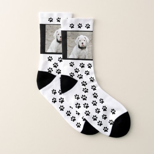 Custom Dog Photo Socks _ Custom Pet Socks