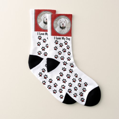 Custom Dog Photo Socks _ Custom Printed Socks