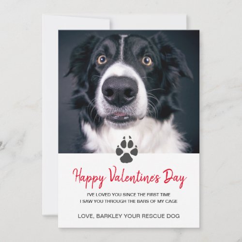 Custom Dog Photo Valentin Day Card From Rescue Dog