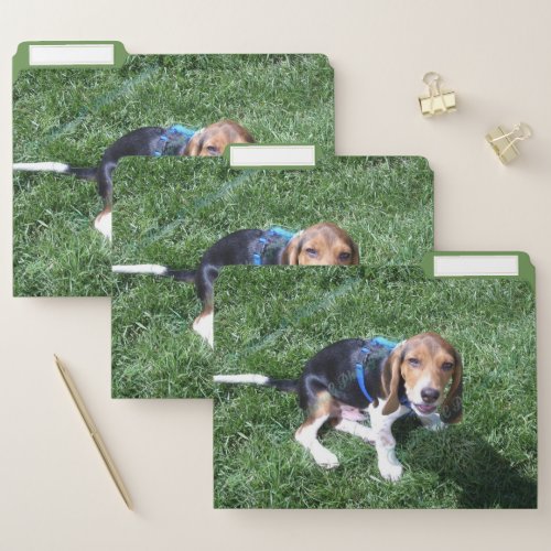 Custom dog photo veterinarians office file folder