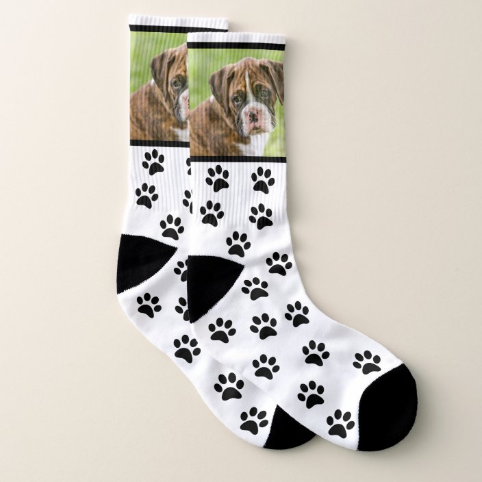 where to buy dog socks