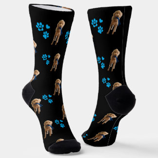 Custom dog Socks — Personalized Pet Photo Gift