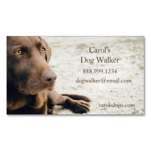 Custom Dog Walker, Pet Sitting Business Service Business Card Magnet
