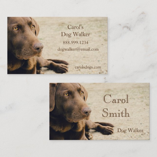 Custom Dog Walker, Pet Sitting Business Service Card (Front/Back)
