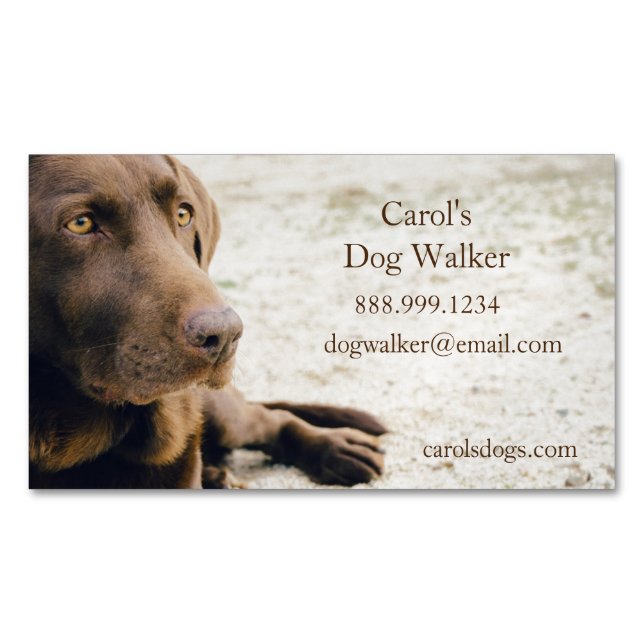Custom Dog Walker, Pet Sitting Business Service  Card Magnet (Front)