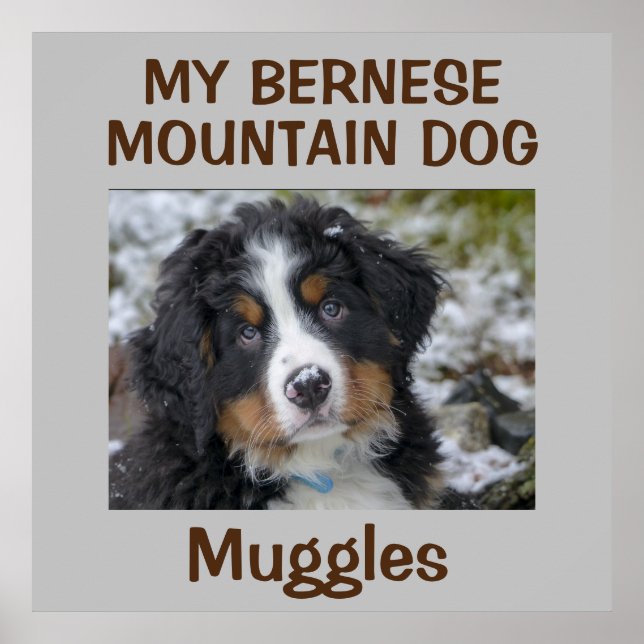Custom Dog Wall Art (Front)