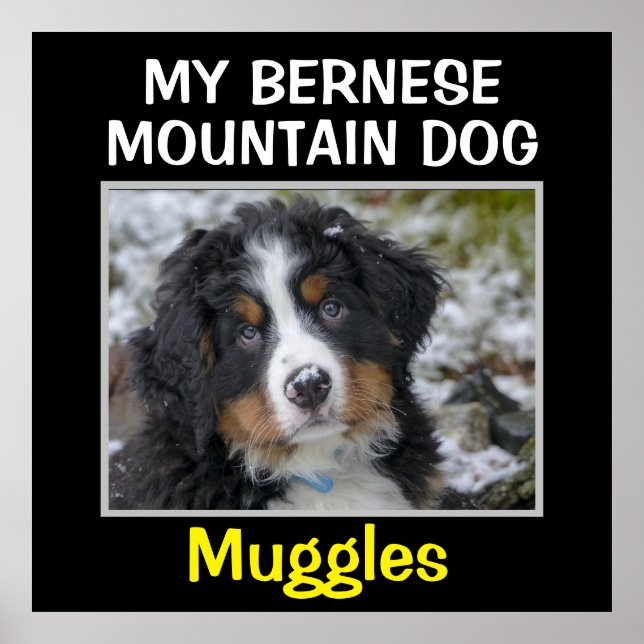 Custom Dog Wall Art (Front)