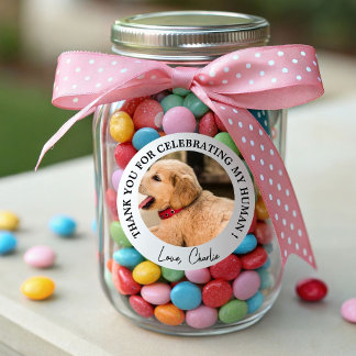 Custom Dog Wedding Favor Dog of Honor Pet Photo Classic Round Sticker