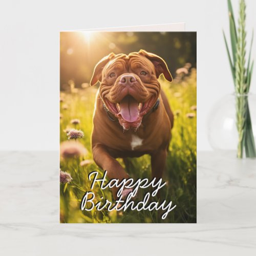 Custom Dogue de Bordeaux Happy Birthday Card