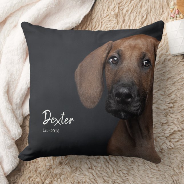 Custom Editable Pet Photo Throw Pillow (Blanket)