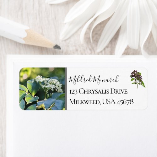 Custom Elderberry Photo Native Wildflower Label