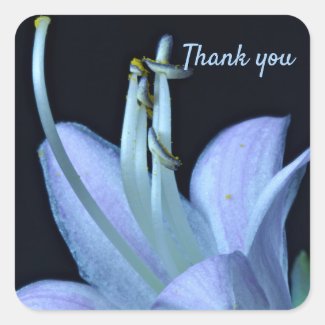 Custom Elegant Lavender Blue Flower Thank You