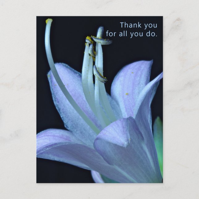 Custom Elegant Lavender Flower Thank You Postcard (Front)