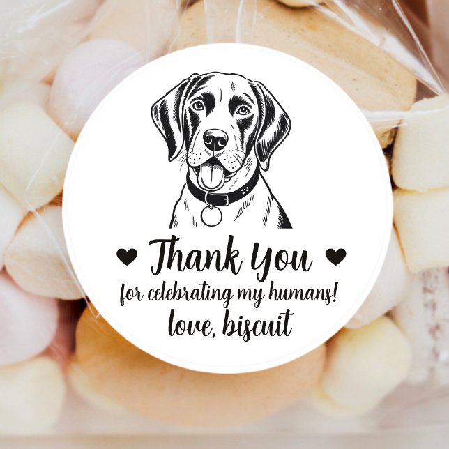Custom English Pointer Dog Wedding Favor Stickers (Creator Uploaded)