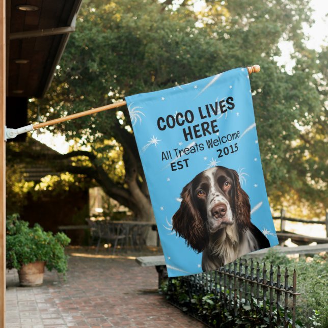 Custom English Springer Spaniel House Flag (In SItu)