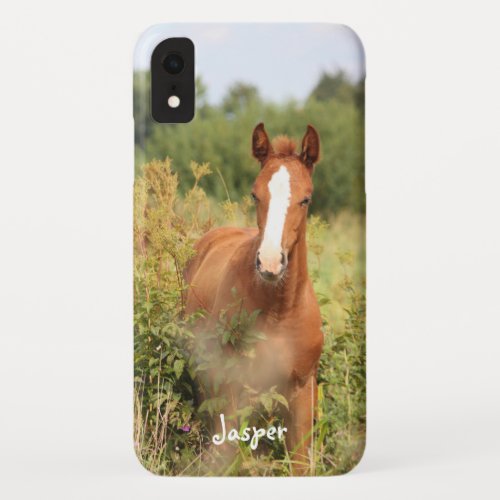 Custom Equestrian Horse Photo iPhone XR Case