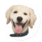 Custom Face Stickers Personalized Dog Face Photo
