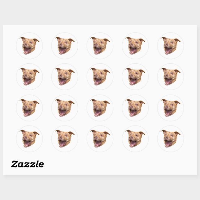 Custom Face Stickers Personalized Face Photo (Sheet)