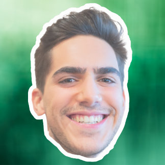 Custom Face Stickers, Personalized Face, Photo Sticker