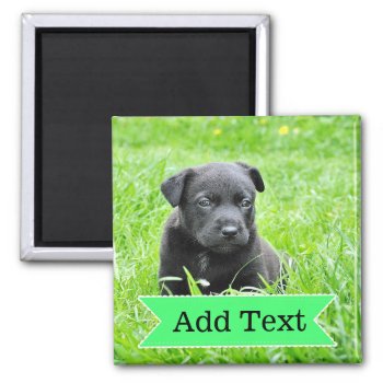 Custom Family Pet  Photo And Name Picture Magnet by Everything_Grandma at Zazzle