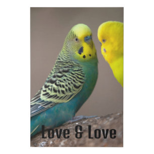 Custom Faux Wrapped Canvas Print Birds Love Text