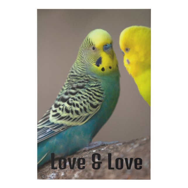 Custom Faux Wrapped Canvas Print Birds Love Text (Front)