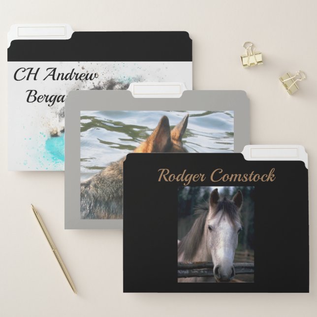 Custom File Folders (Set)