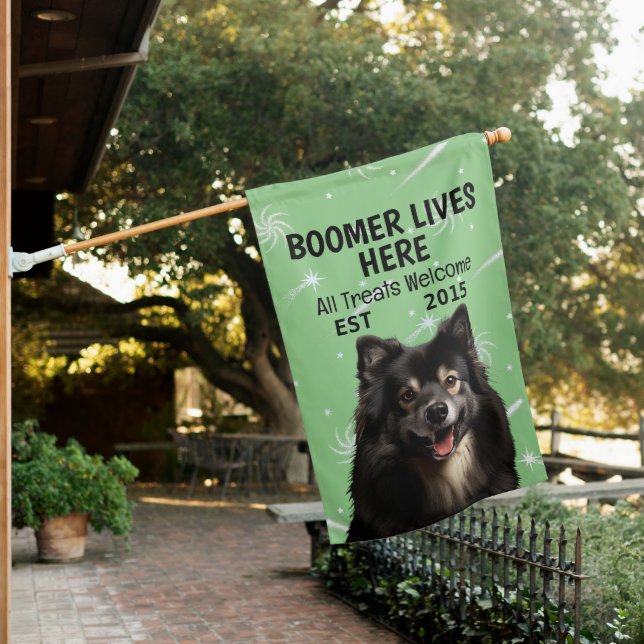 Custom Finnish Lapphund House Flag (In SItu)
