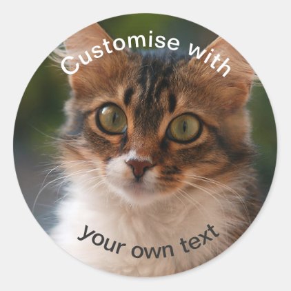 Custom Fluffy Kitten with Green Eyes Classic Round Sticker