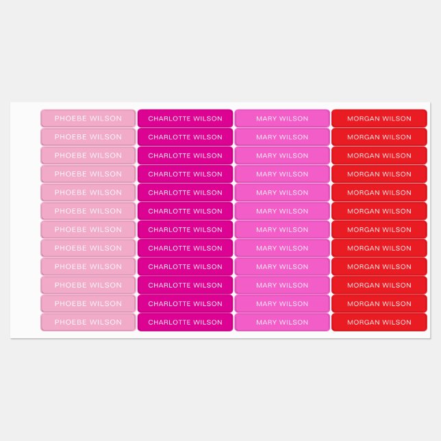 Custom Four Name School Daycare Tag Overlay Labels (Sheet)