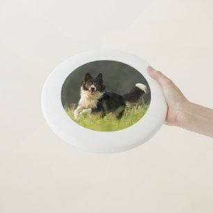 Custom Frisbee