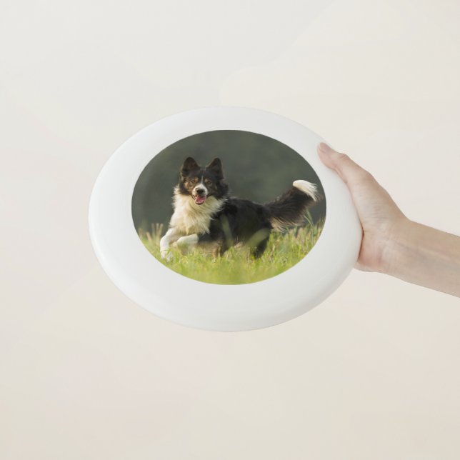 Custom Frisbee (In Hand)