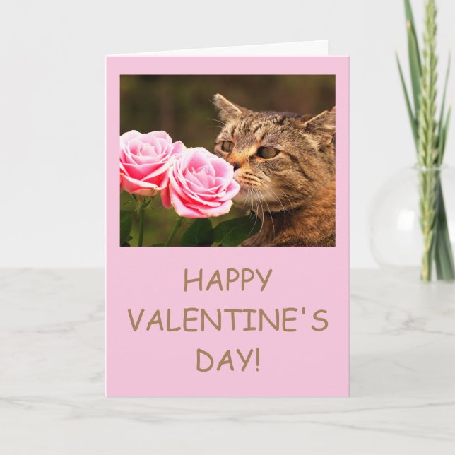 Custom "From The Cat" Valentine's Day Holiday Card (Front)