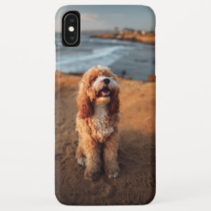 Custom Full Photo Your Own Photo iPhone XS Max Case