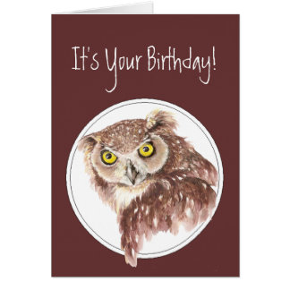 Humor Owl Birthday Cards | Zazzle