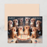 Custom Funny Kitten Happy Birthday Greeting Card