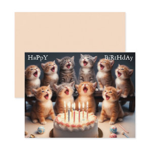 Custom Funny Kitten Happy Birthday Greeting Card
