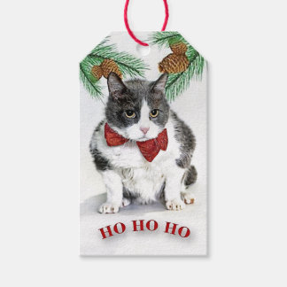 Custom Gift Tags featuring Grumpy Felix