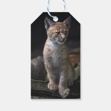 Custom Gift Tags with lynx face portrait