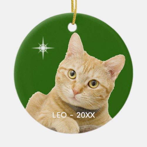 Custom Ginger Tabby Cat Photo on Green Ceramic Ornament