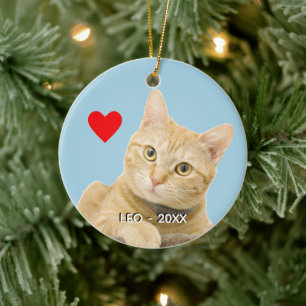 Custom Ginger Tabby Cat Photo on Light Blue Ceramic Ornament