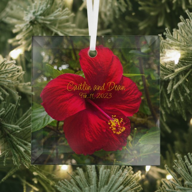Custom Glass Hibiscus Ornament (Insitu)