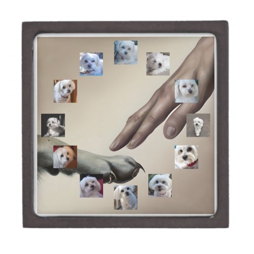 Custom God Created Dog 12_Year Puppy Your Photos Gift Box