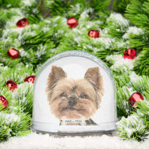 Custom Gold Yorkshire Terrier Dog Photo Snow Globe