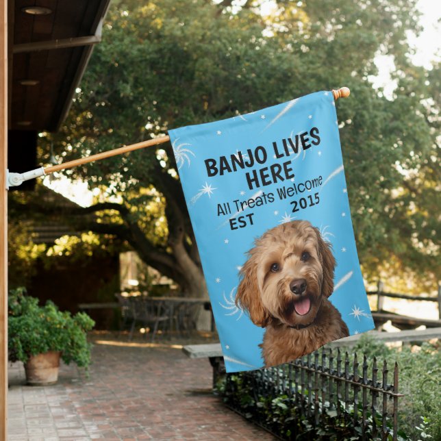 Custom Goldendoodle House Flag (In SItu)