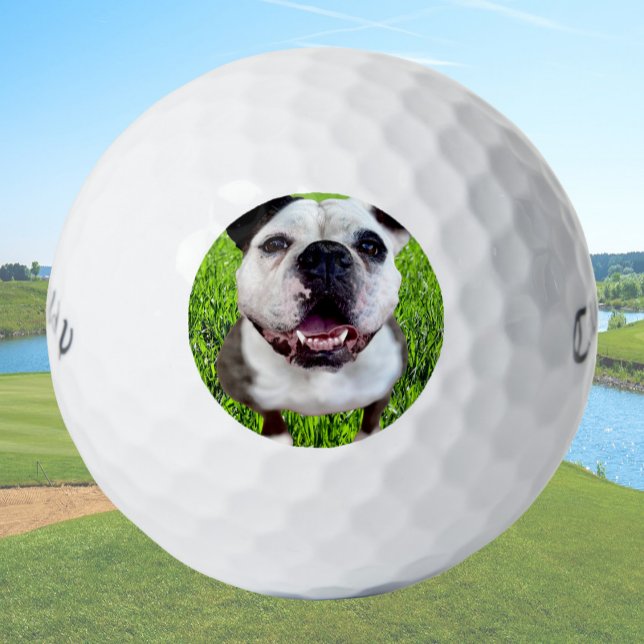 Custom Golf Balls Bulldog Photo Create Your Own (Creator Uploaded)
