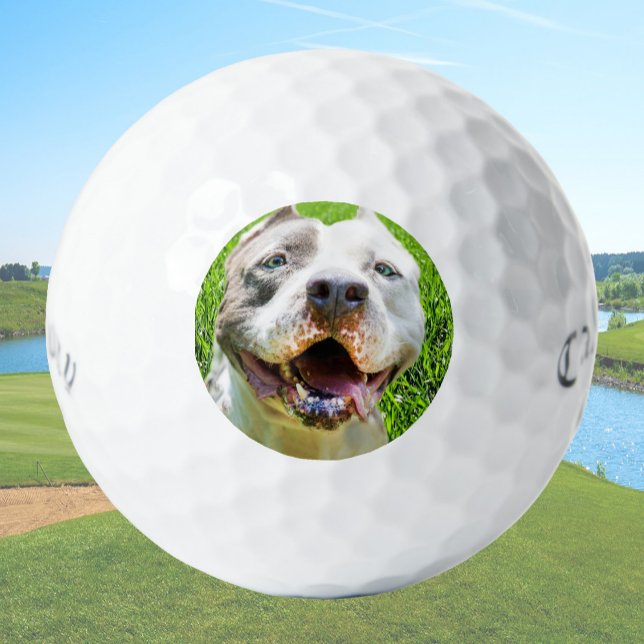 Custom Golf Balls With Dog Photo Create Your Own (Creator Uploaded)