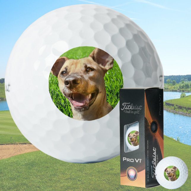 Custom Golf Balls With Dog Picture Create Your Own (Creator Uploaded)