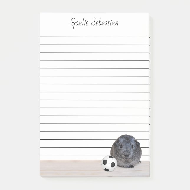Custom Gray Guinea Pig Pet Soccer Ball Lined Post-it Notes (Front)